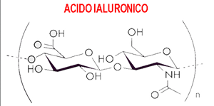 elettroporatore